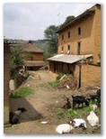 Nagarkot Village