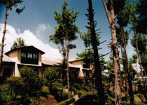Nagarkot Cottage